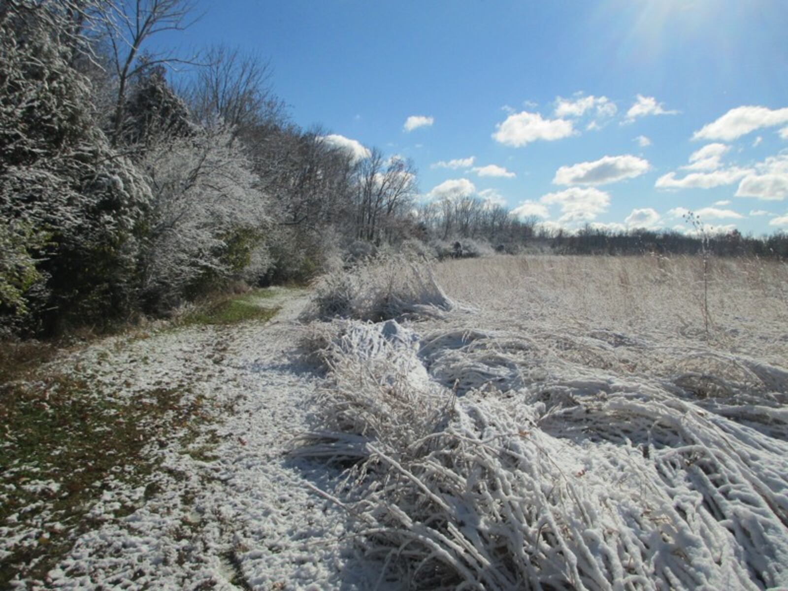 Grant Park in 2012 after the season’s first snowfall. Contributed photo by Jack Louden of Centerville