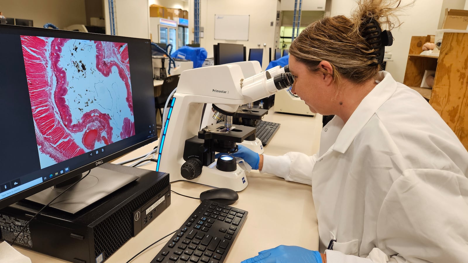 Sinclair Community College histotechnology student Jessica Jolley in the histology lab. COURTESY OF SINCLAIR COMMUNITY COLLEGE