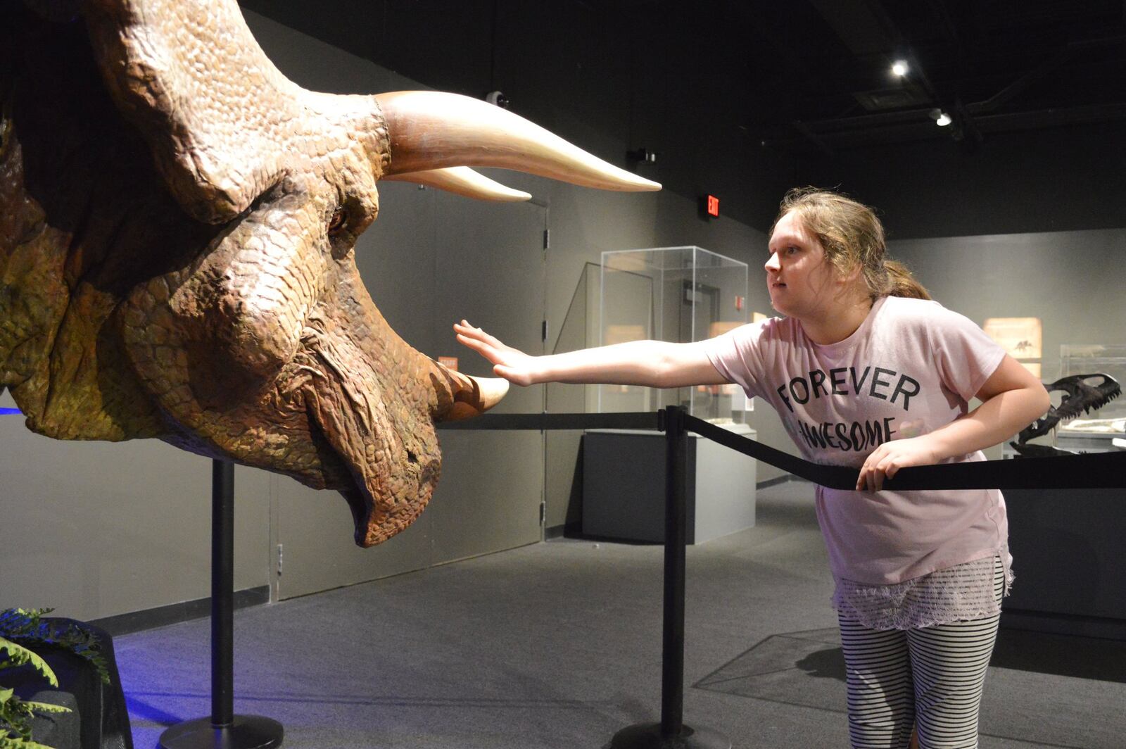 Bella Burns of Kettering checks out the Boonshoft Museum of Discovery’s new dino exhibit. CONTRIBUTED/KRISTY CREEL