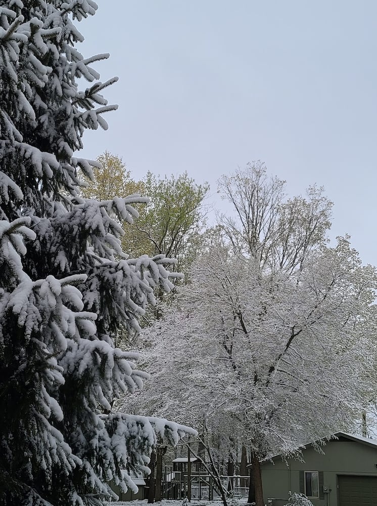 PHOTOS: Snowfall in April in the Miami Valley