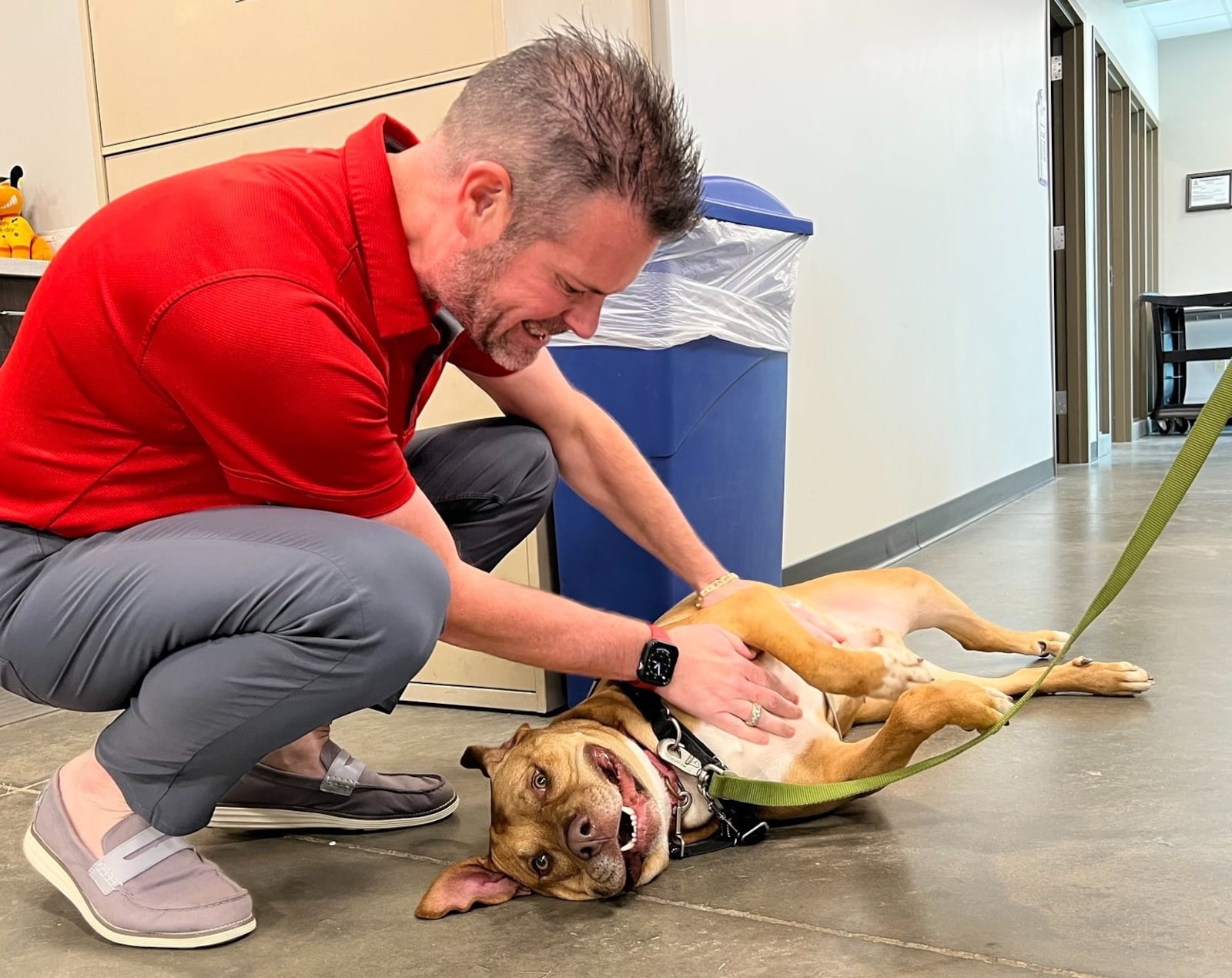 Jack Omer, named SICSA's next president and CEO, is shown giving belly pats to a shelter dog at the SICSA Pet Adoption & Wellness Center in Washington Twp. CONTRIBUTED