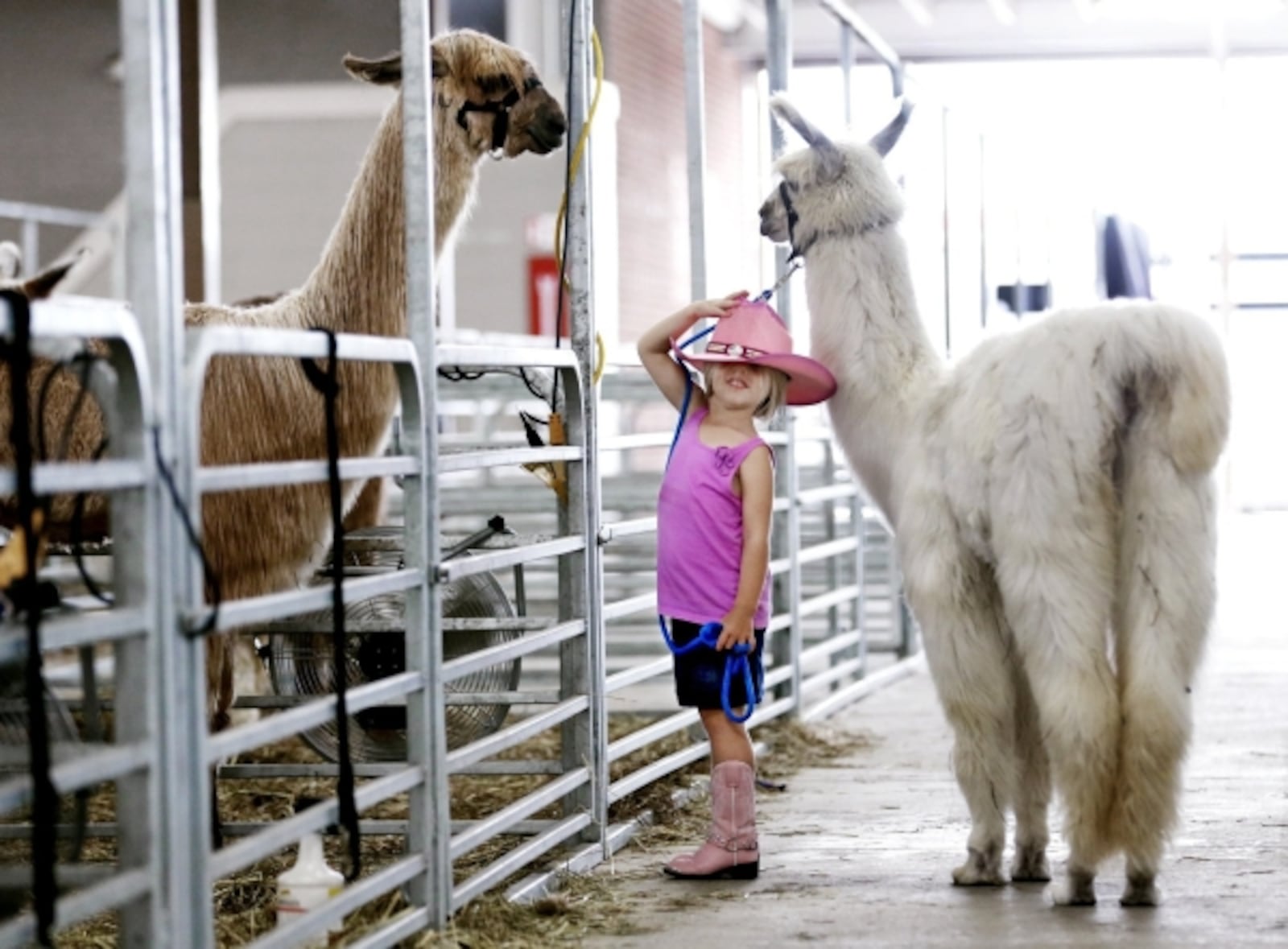 The 169th annual Montgomery County Fair near Dayton, Ohio, will take place July 11-17. Here is what to expect at the fair, from food to entertainment to deals.