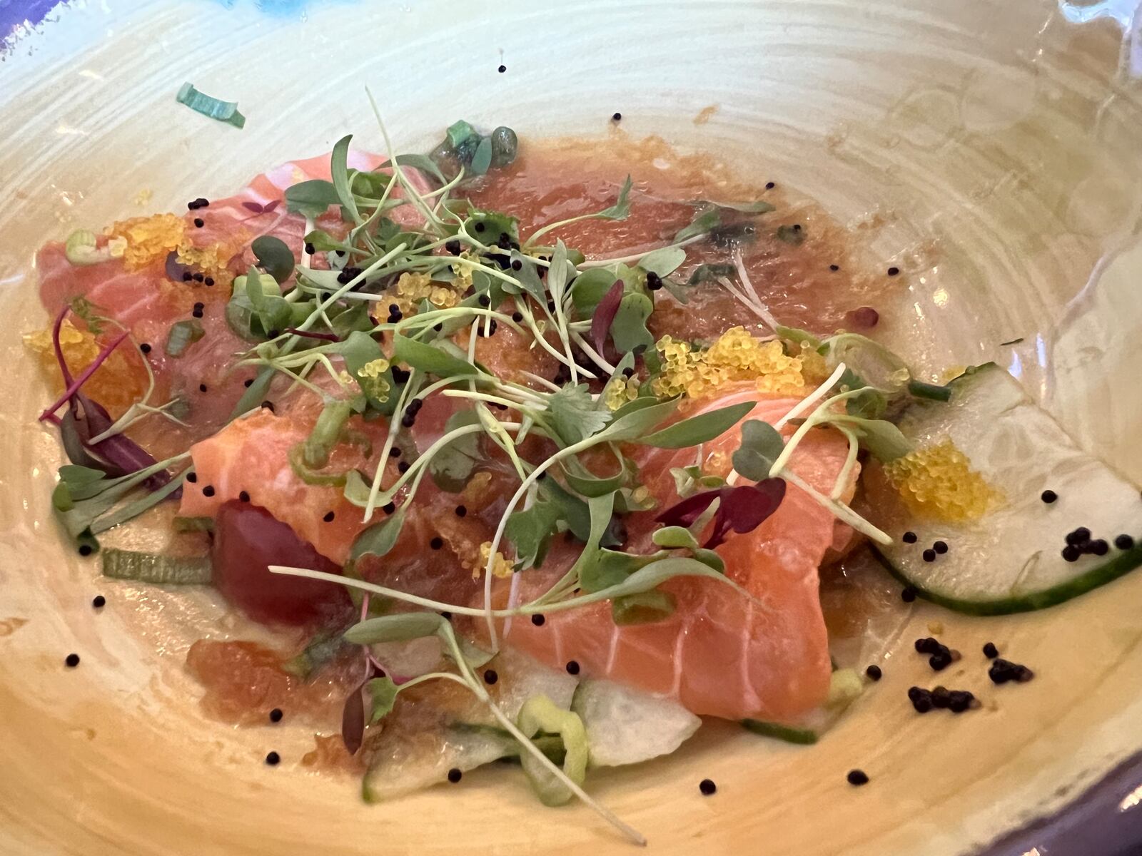 A salmon carpaccio came courtesy of Chef Clayton Horrighs from Speakeasy Ramen in Springfield at Whoo Cooks for You. 