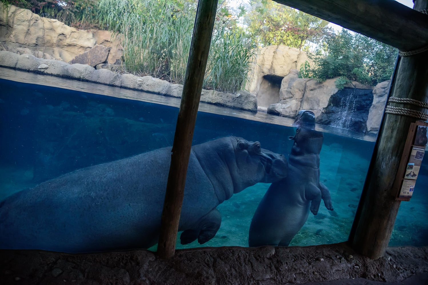 BEHIND THE SCENES: Take a look at what Fiona and Bibi are up to after hours