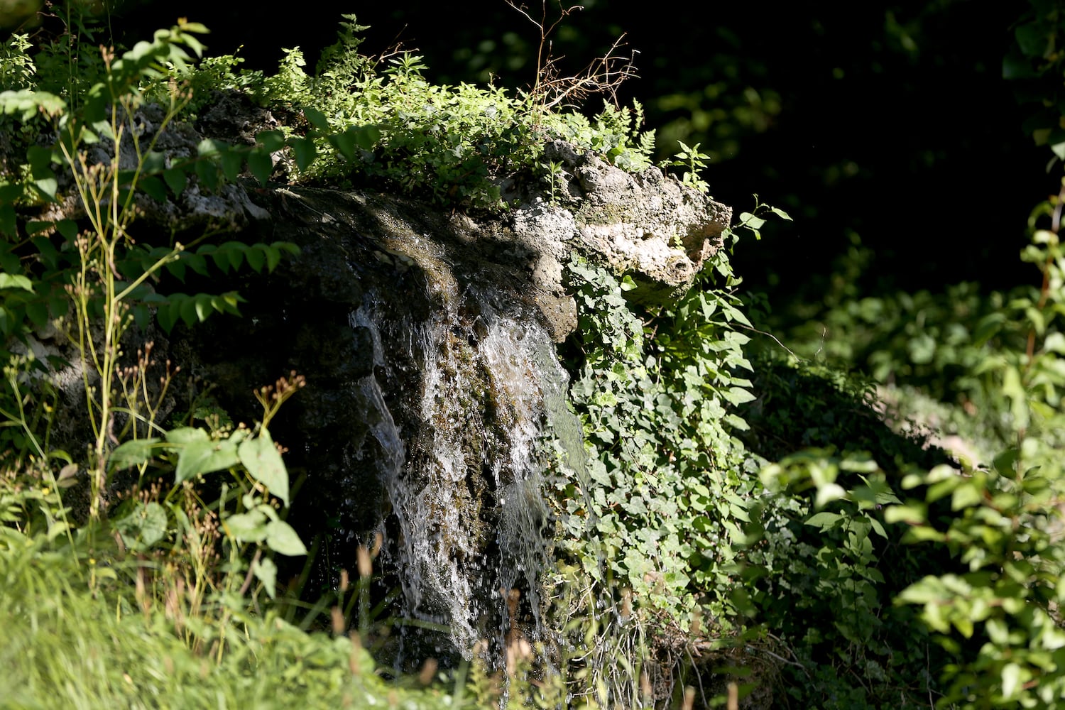 PHOTOS: Take a stroll through the glorious Grotto Gardens