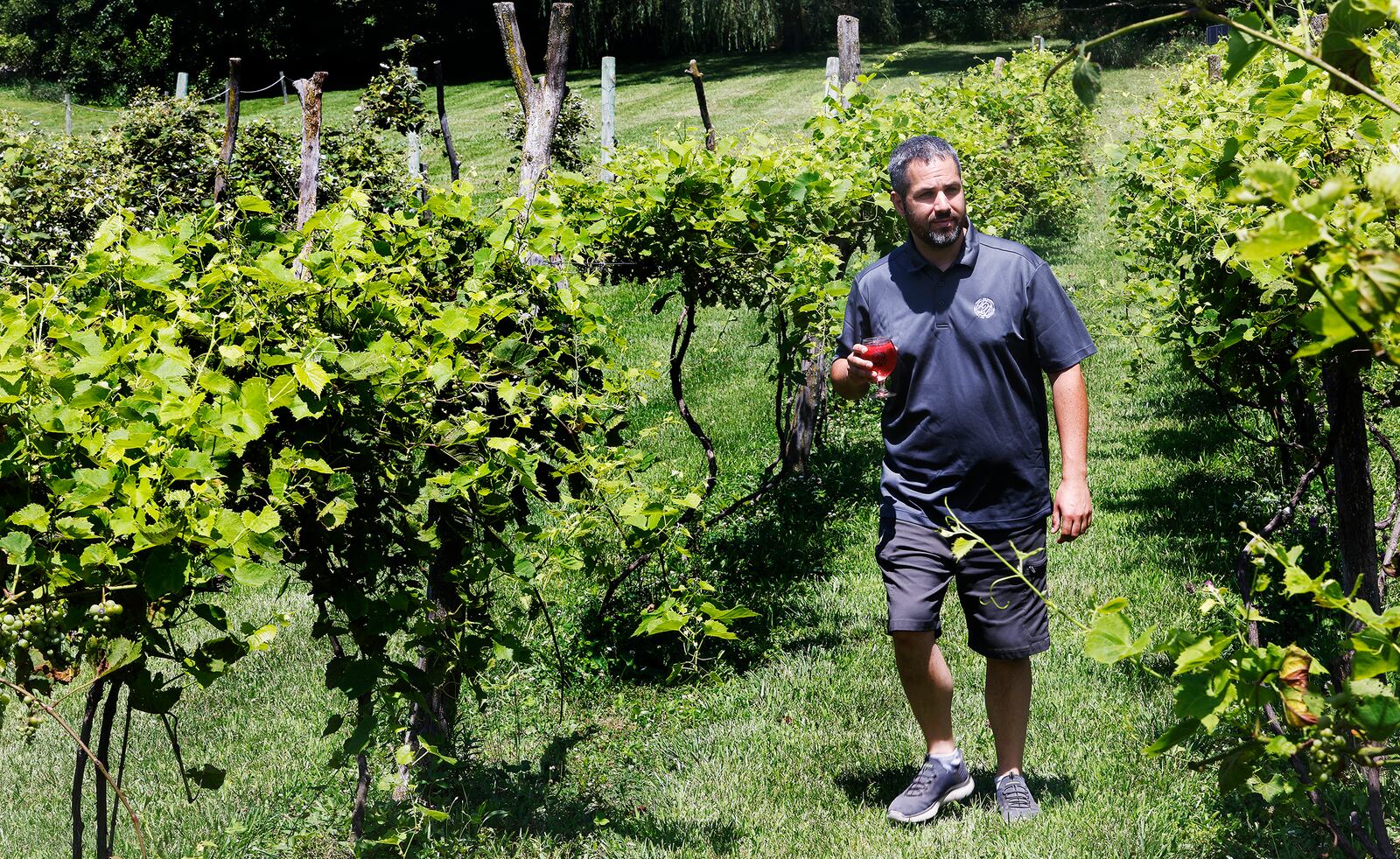 Shaun Pierce, Co-Founder of Twenty One Barrels Hard Cider & Wine in Bradford. Twenty One Barrels Hard Cider & Wine won Best Patio Dining and Best Winery in the Best of Dayton contest. MARSHALL GORBY\STAFF