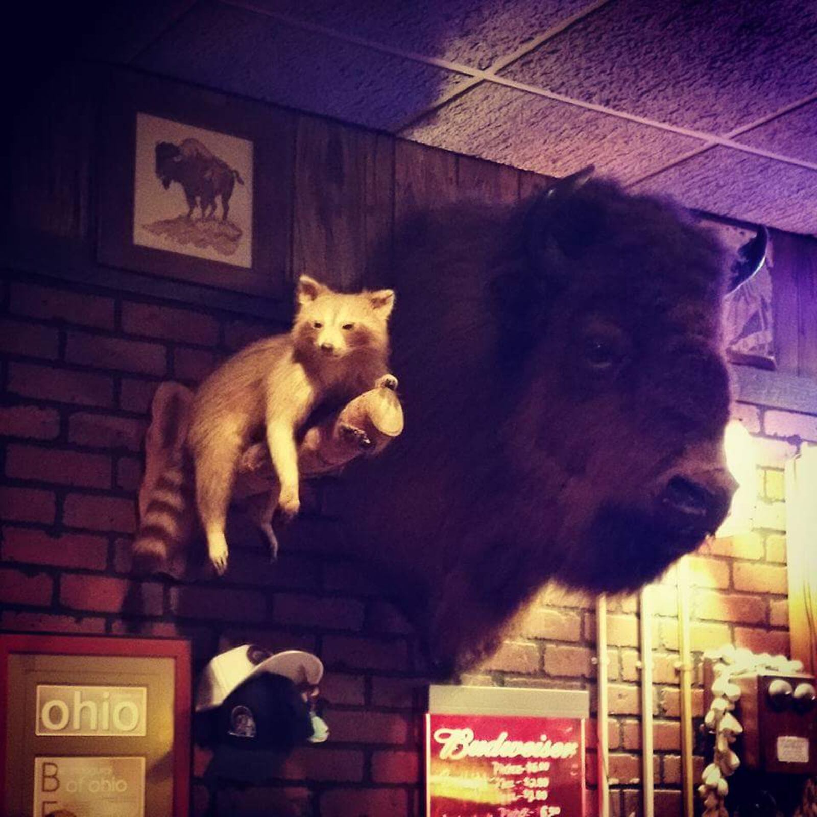 Buffalo Jack's in Covington (Source: Facebook)