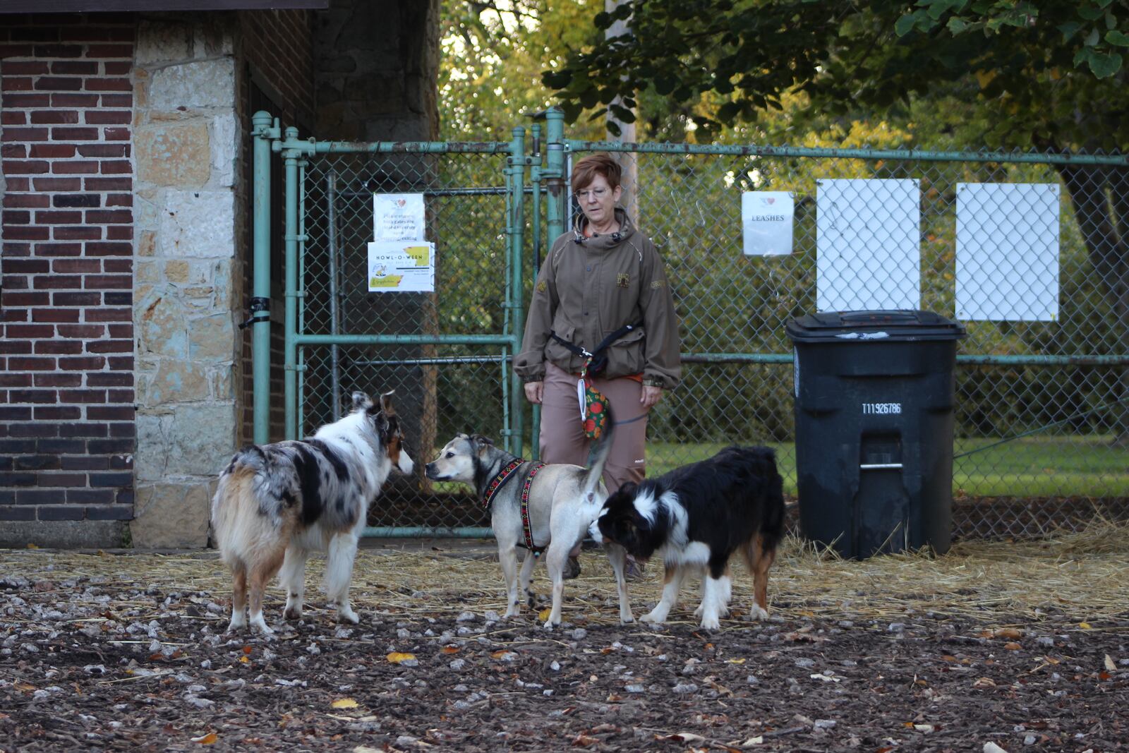 Dogs near the entry gate at Deeds Point Dog Park. CORNELIUS FROLIK / STAFF