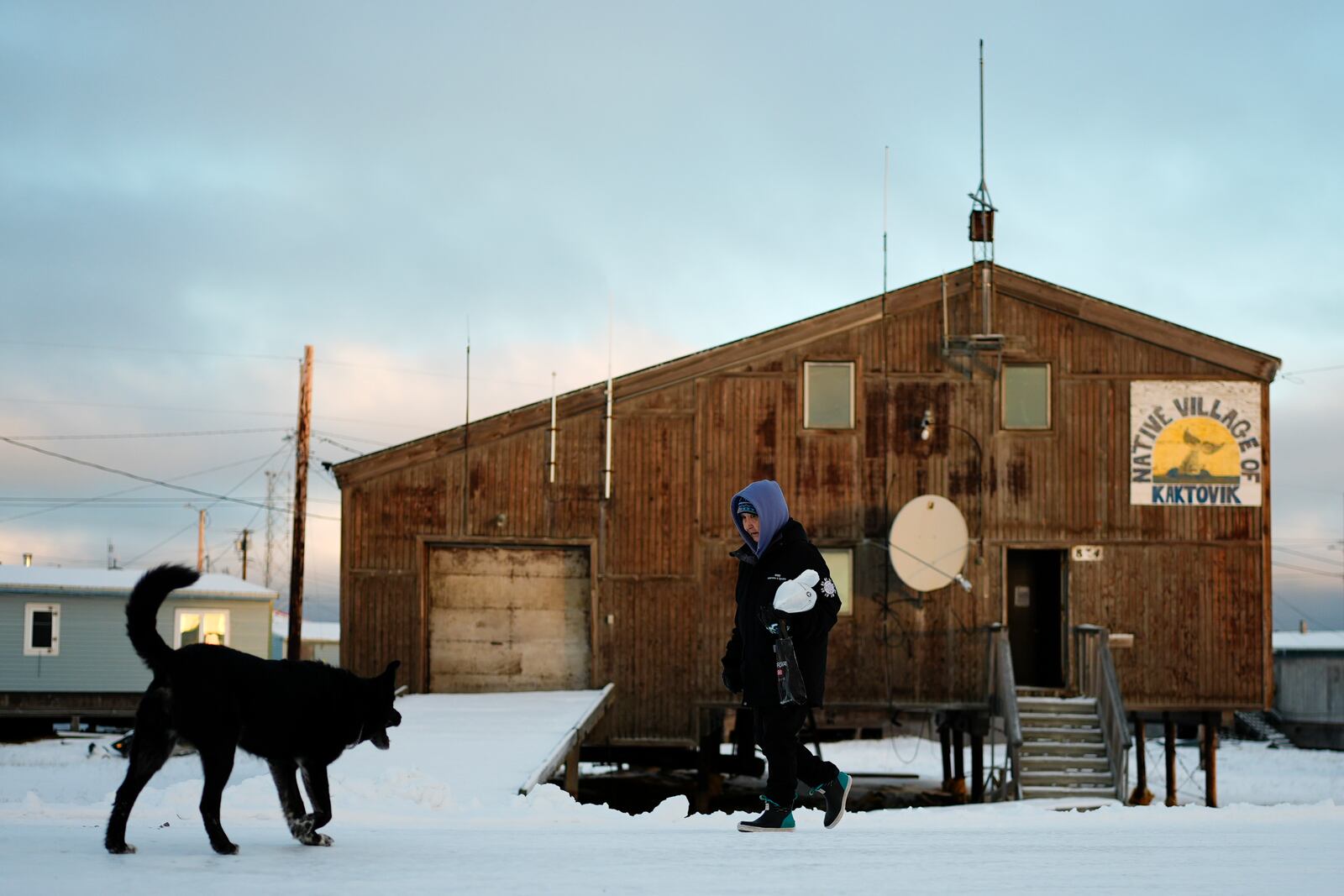 A neighborhood dog approaches a villager walking past the Kaktovik Native Village office in Kaktovik, Alaska, Tuesday, Oct. 15, 2024. (AP Photo/Lindsey Wasson)