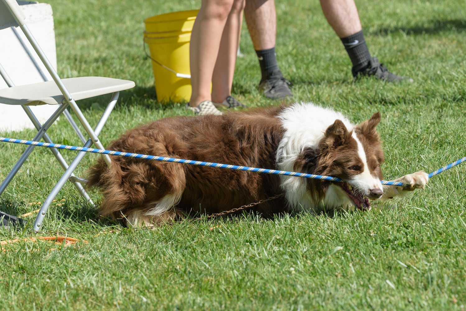 PHOTOS: 2024 Celtic Fest Ohio at Renaissance Park