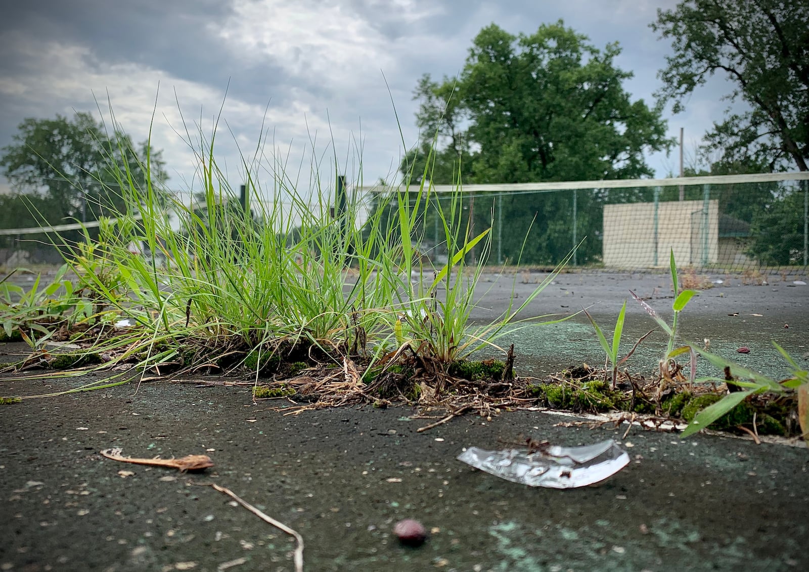 People Living in the area of Residence Park complained that the courts have cracks and weeds and the park is in rough shape. MARSHALL GORBY\STAFF