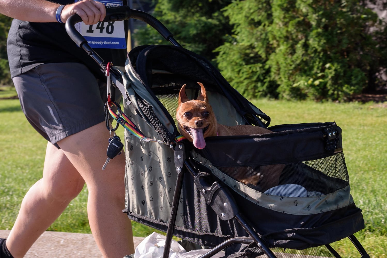 PHOTOS: Did we spot you and your doggie at SICSA’s Lift Your Leg fun run/walk?