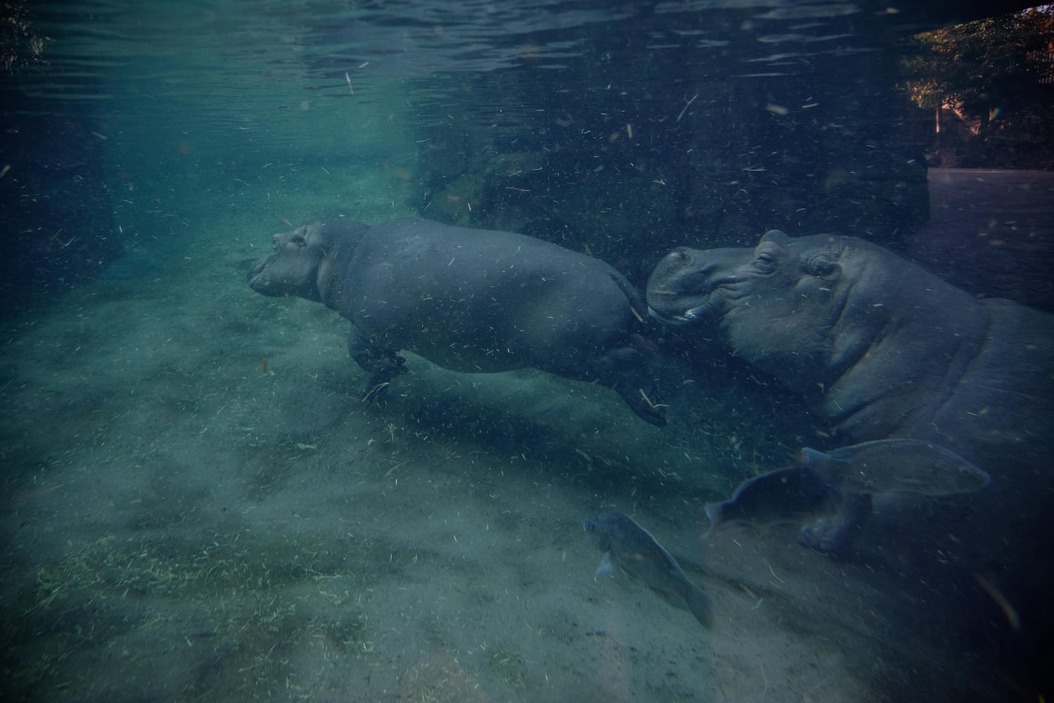 BEHIND THE SCENES: Take a look at what Fiona and Bibi are up to after hours