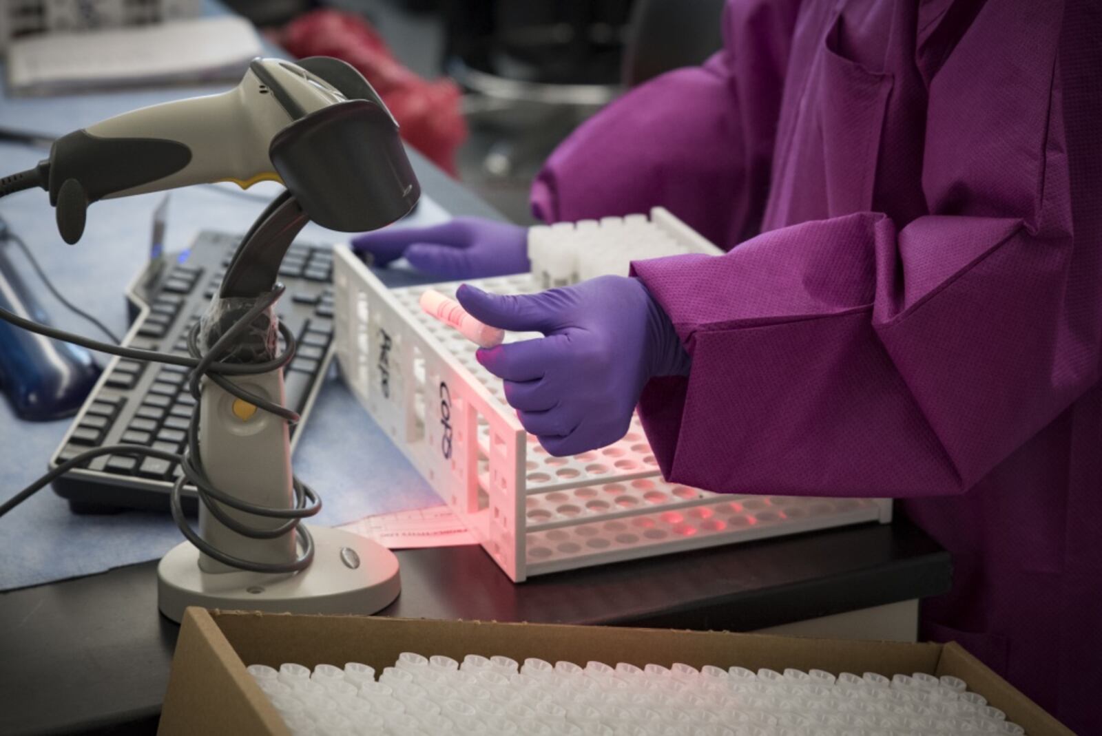 A medical specimen processing assistant from the United States Air Force School of Aerospace Medicine’s Epidemiology Laboratory logs in samples for COVID-19 testing in June. (U.S. Air Force photo by Richard Eldridge)