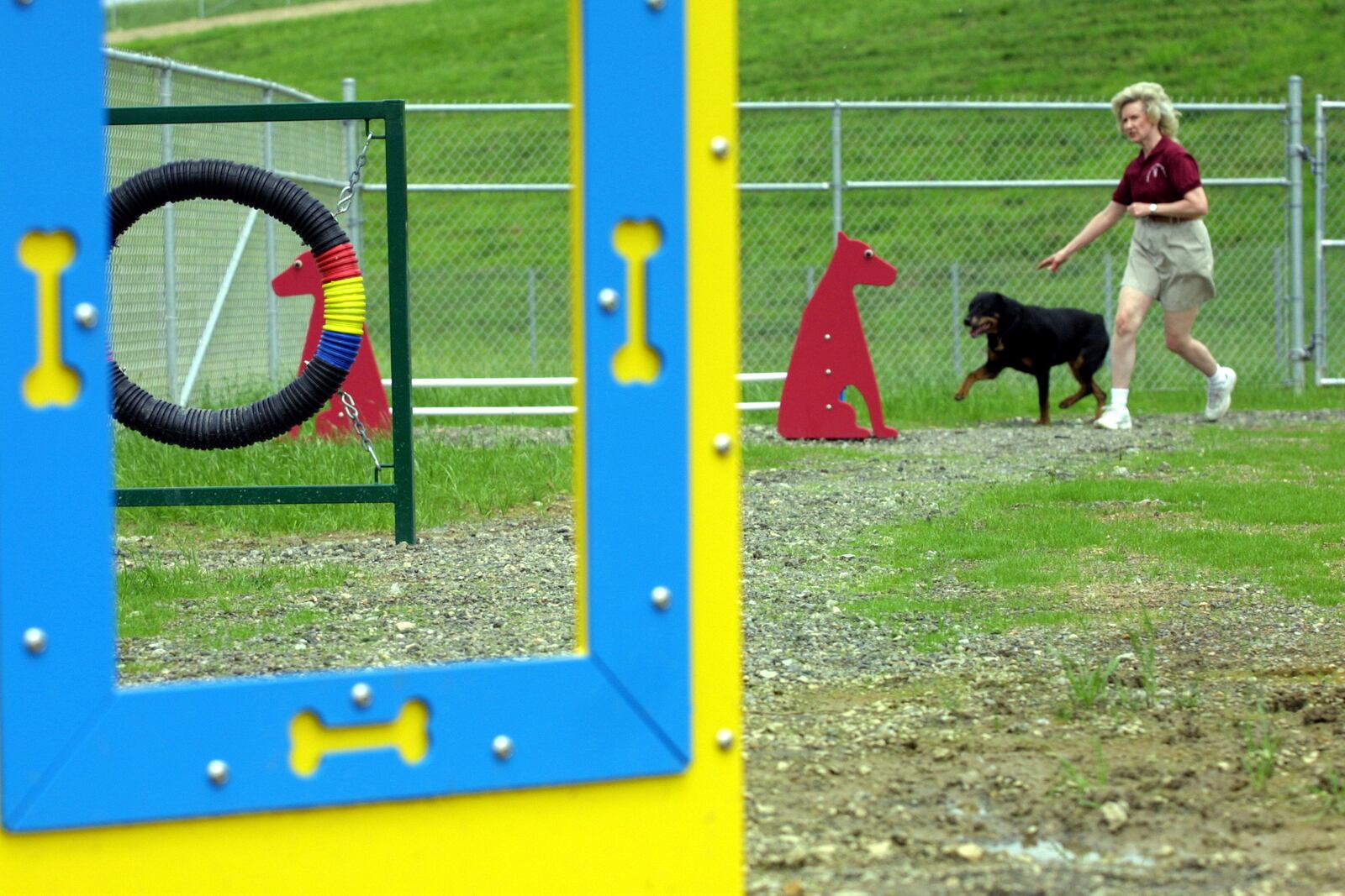 Nancy Ellis takes her Rottweiler Gracie through an obstacle course on the grounds of Montgomery County's Bark Park. STAFF FILE PHOTO