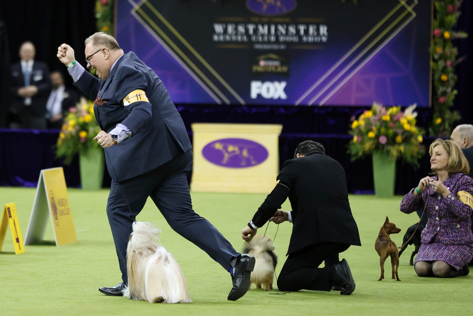 Comet, a Shih Tzu, wins the Toy group during the 149th Westminster Kennel Club Dog show, Monday, Feb. 10, 2025, in New York. (AP Photo/Heather Khalifa)