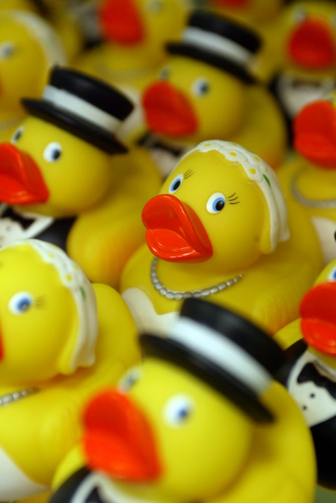 Rubber Duck Regatta history