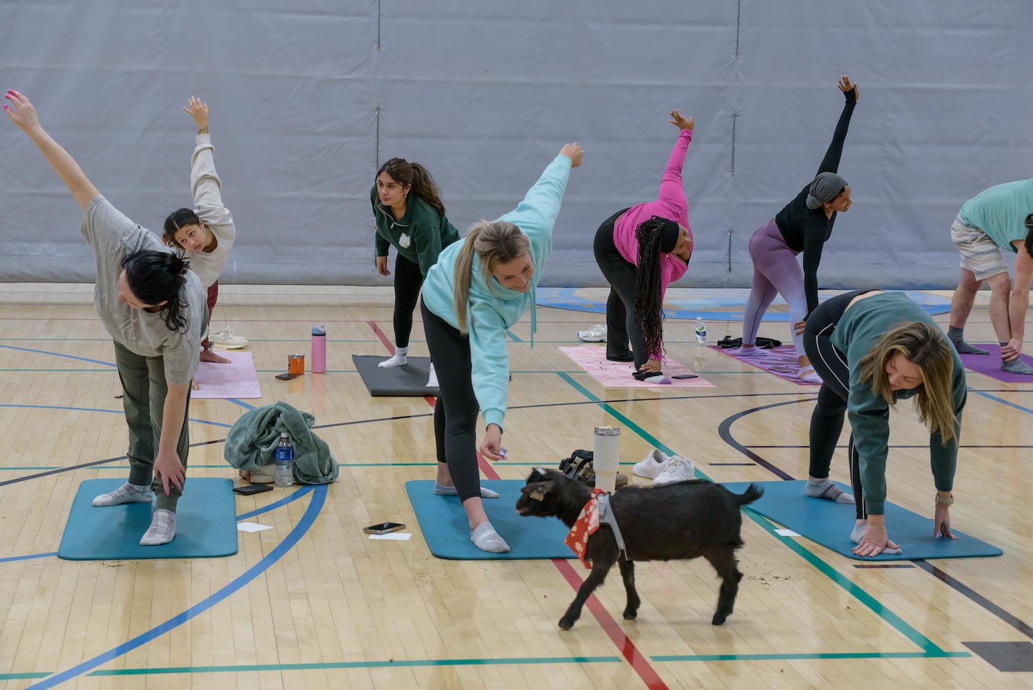 PHOTOS: Sweetheart Goat Yoga at Vandalia Recreation Center