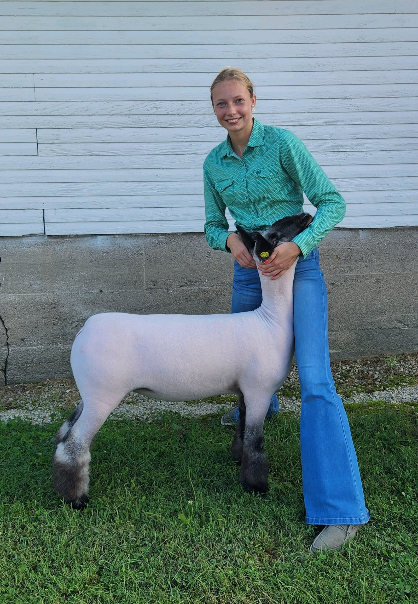 Brooke Bergman – a member of the Versailles High FFA club – with one of the lambs she showed at the Darke County Fair. CONTRIBUTED