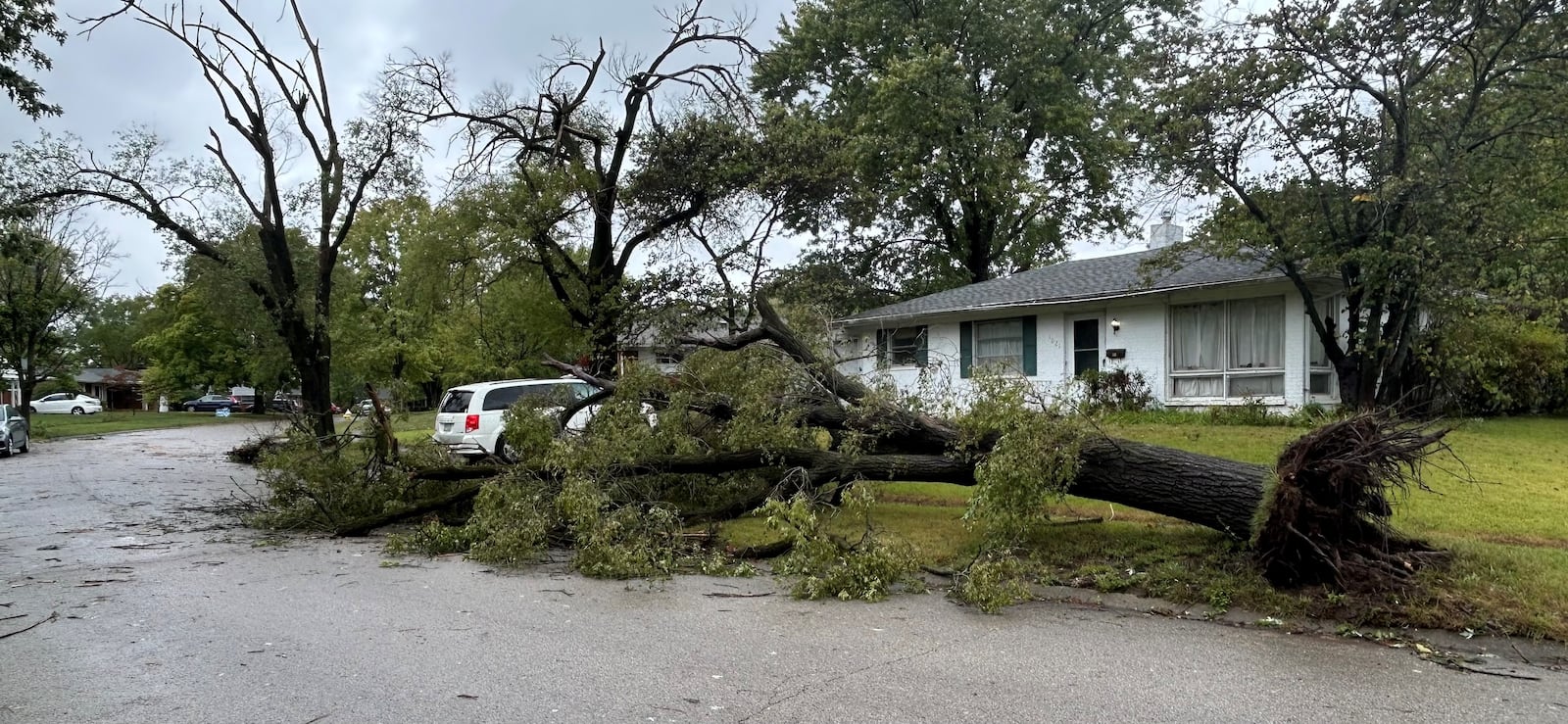 A tree at a home on Swango Drive in Kettering was knocked down Friday night, Sept. 27, 2024 after winds from remnants of Hurricane Helene swept through the area. Jeremy Kelley/Staff photo