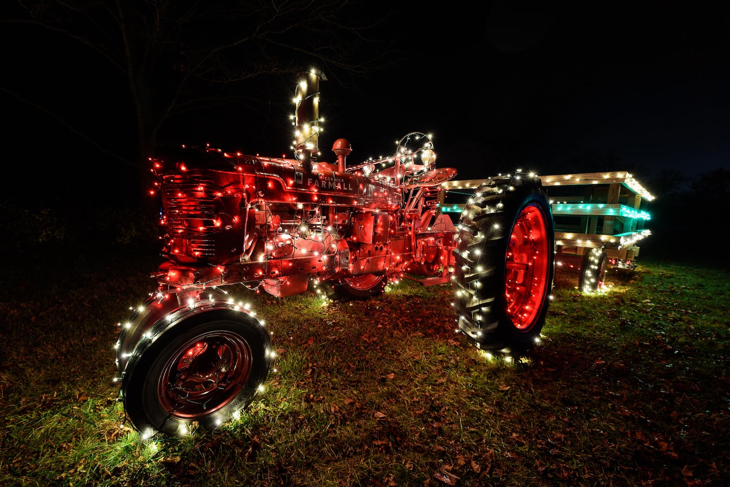 PHOTOS: 2024 Holiday Lights at Lost Creek Reserve in Troy