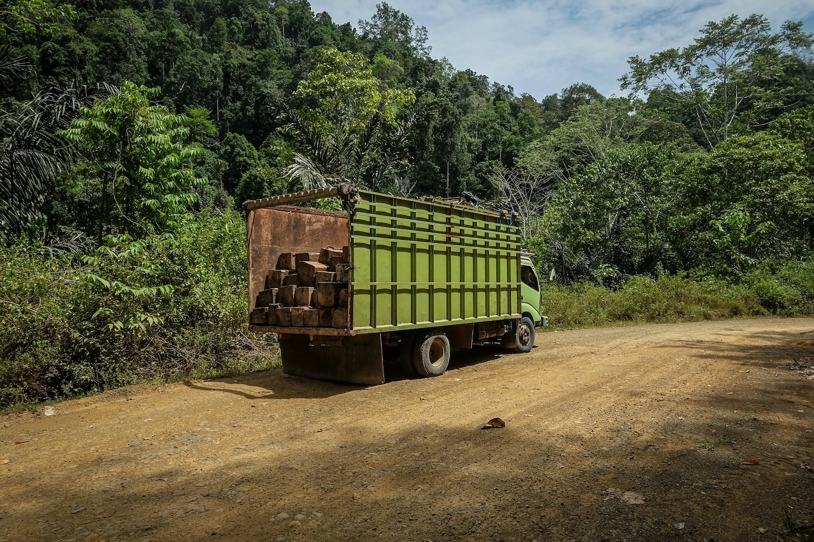 A truck carrying logs is parked on the side of a road leading to the concession areas of several wood pellet production companies in Pohuwato, Gorontalo province, Indonesia, Tuesday, Oct. 22, 2024. (AP Photo/Yegar Sahaduta Mangiri)