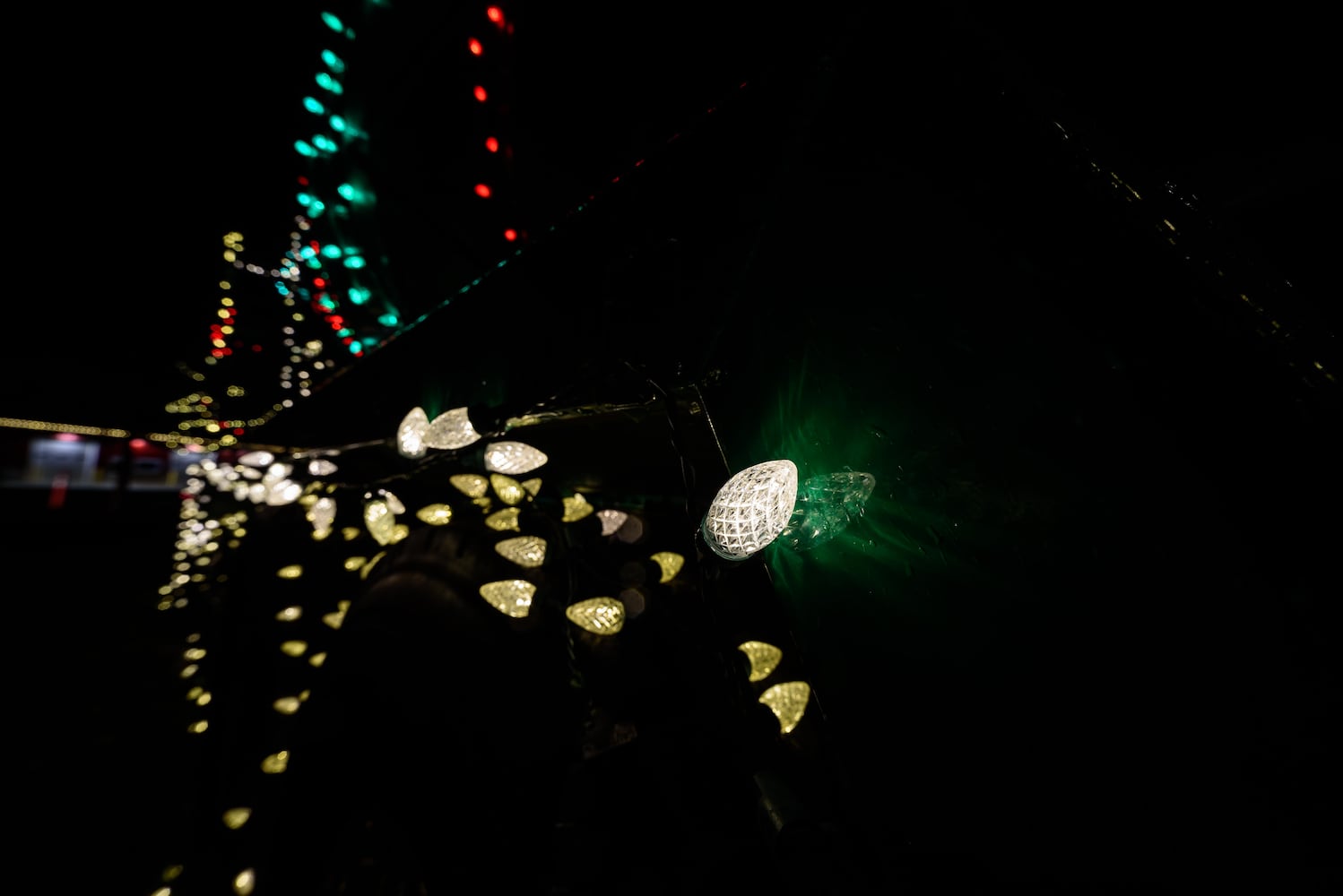 PHOTOS: 2024 Holiday Lights at Lost Creek Reserve in Troy