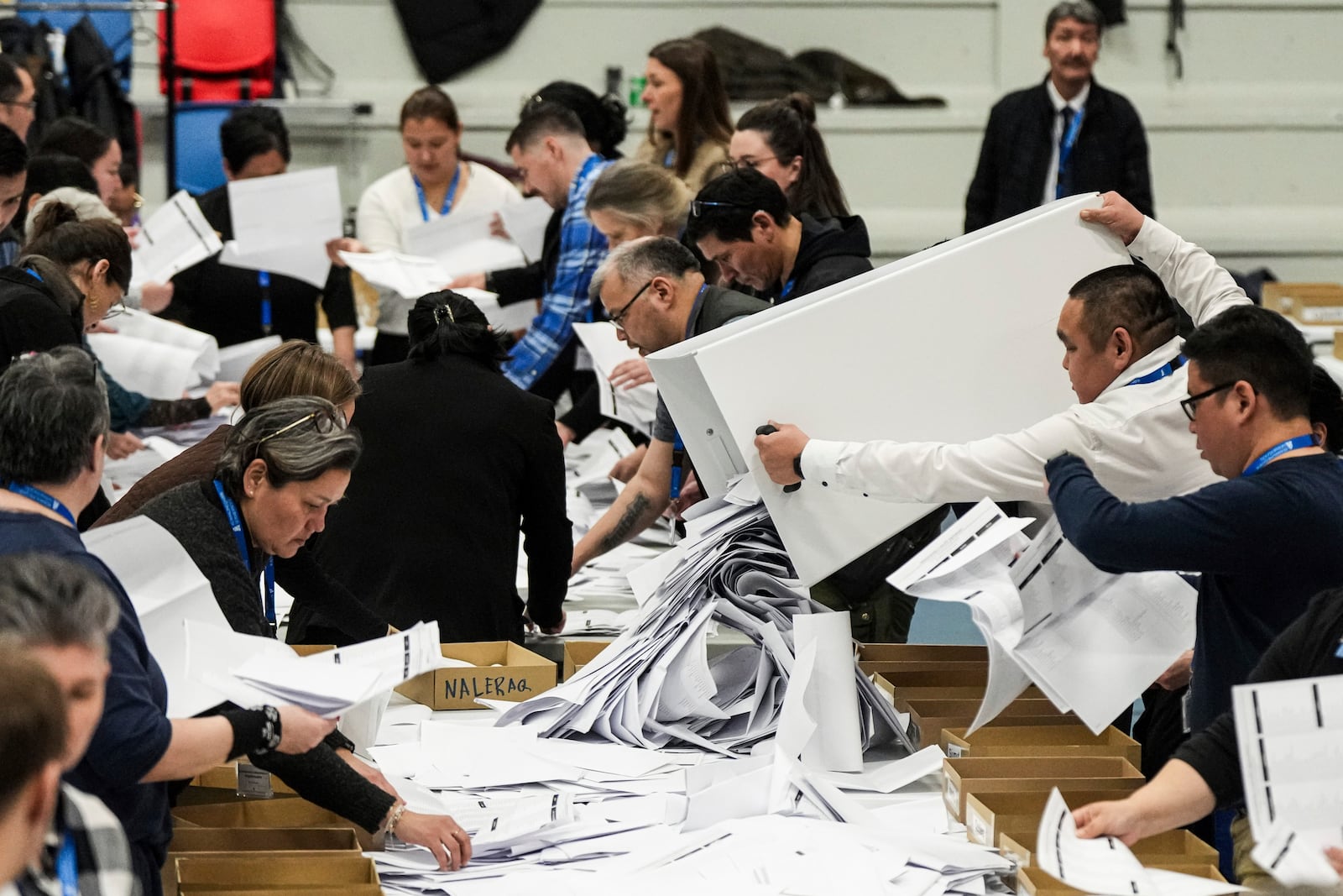 Electoral workers prepare to count votes during parliamentary elections in Nuuk, Greenland, Tuesday, March 11, 2025. (AP Photo/Evgeniy Maloletka)