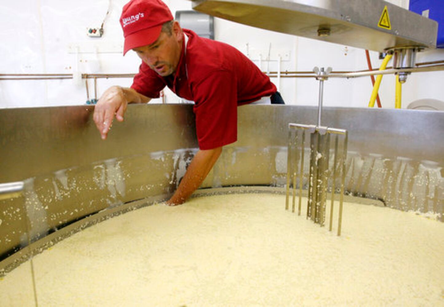 Young's Jersey Dairy makes cheese