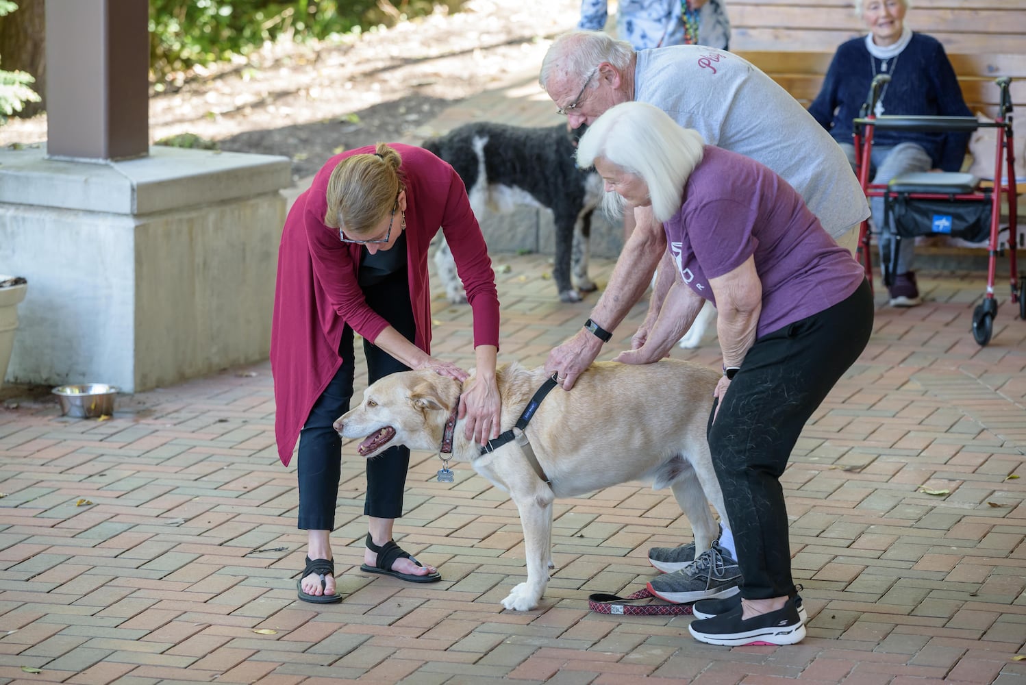 PHOTOS: 2024 Blessing of the Animals at Epiphany Lutheran Church