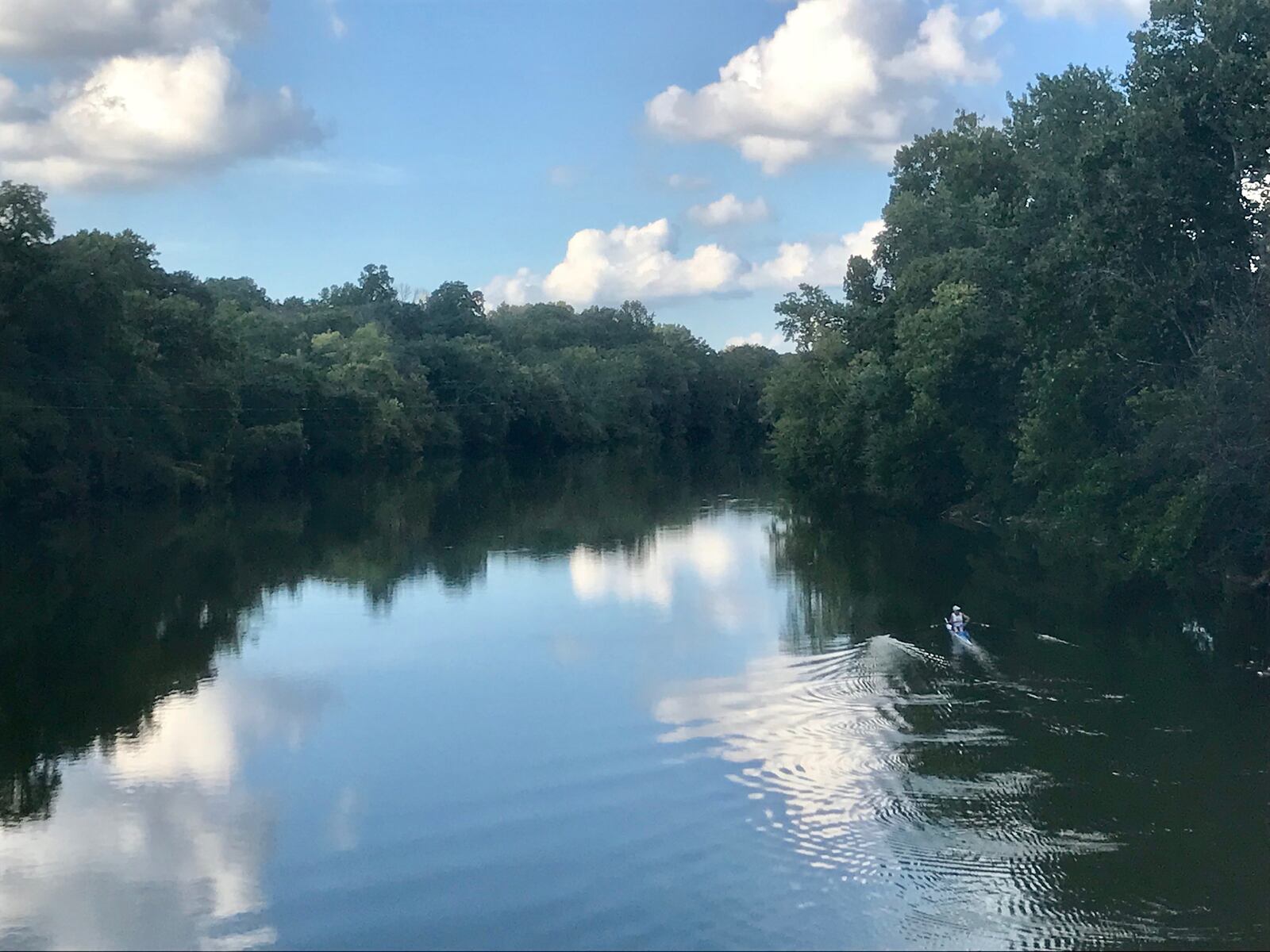 A rower passes underneath the Gayle B. Price Jr. Bridge at Island MetroPark.