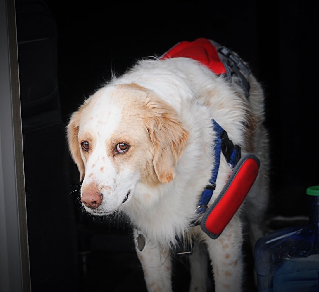 Man, dog rescued after boat overturns