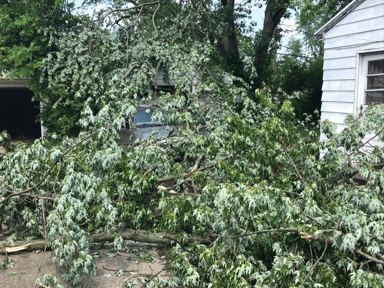 PHOTOS: Daylight reveals widespread damage from Monday storms