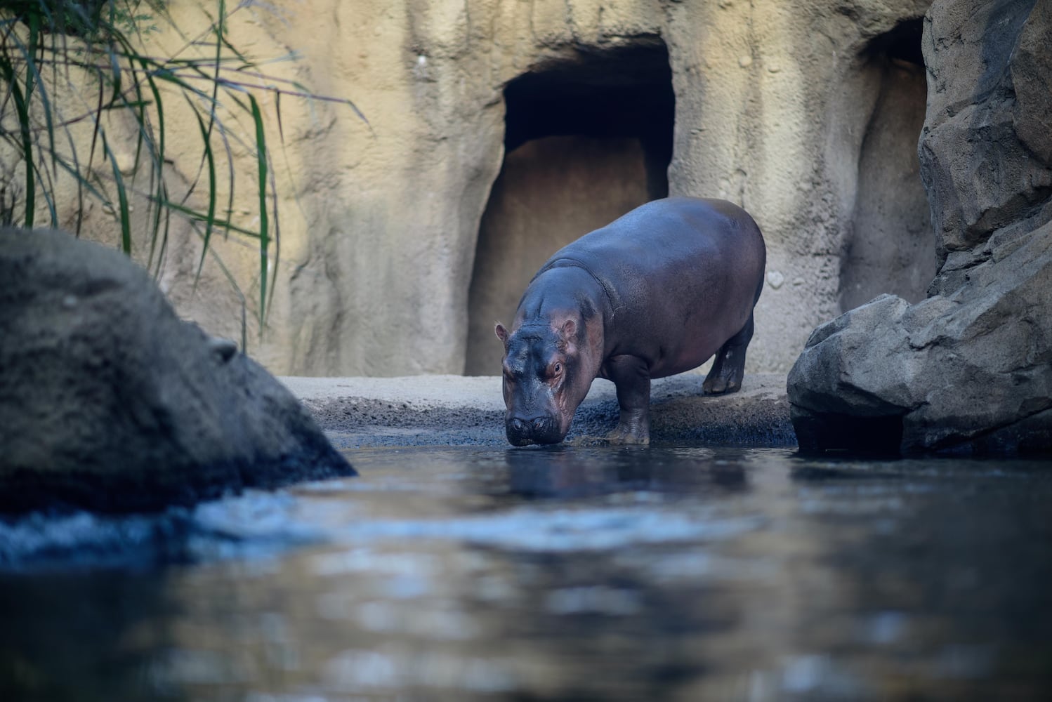 BEHIND THE SCENES: Take a look at what Fiona and Bibi are up to after hours