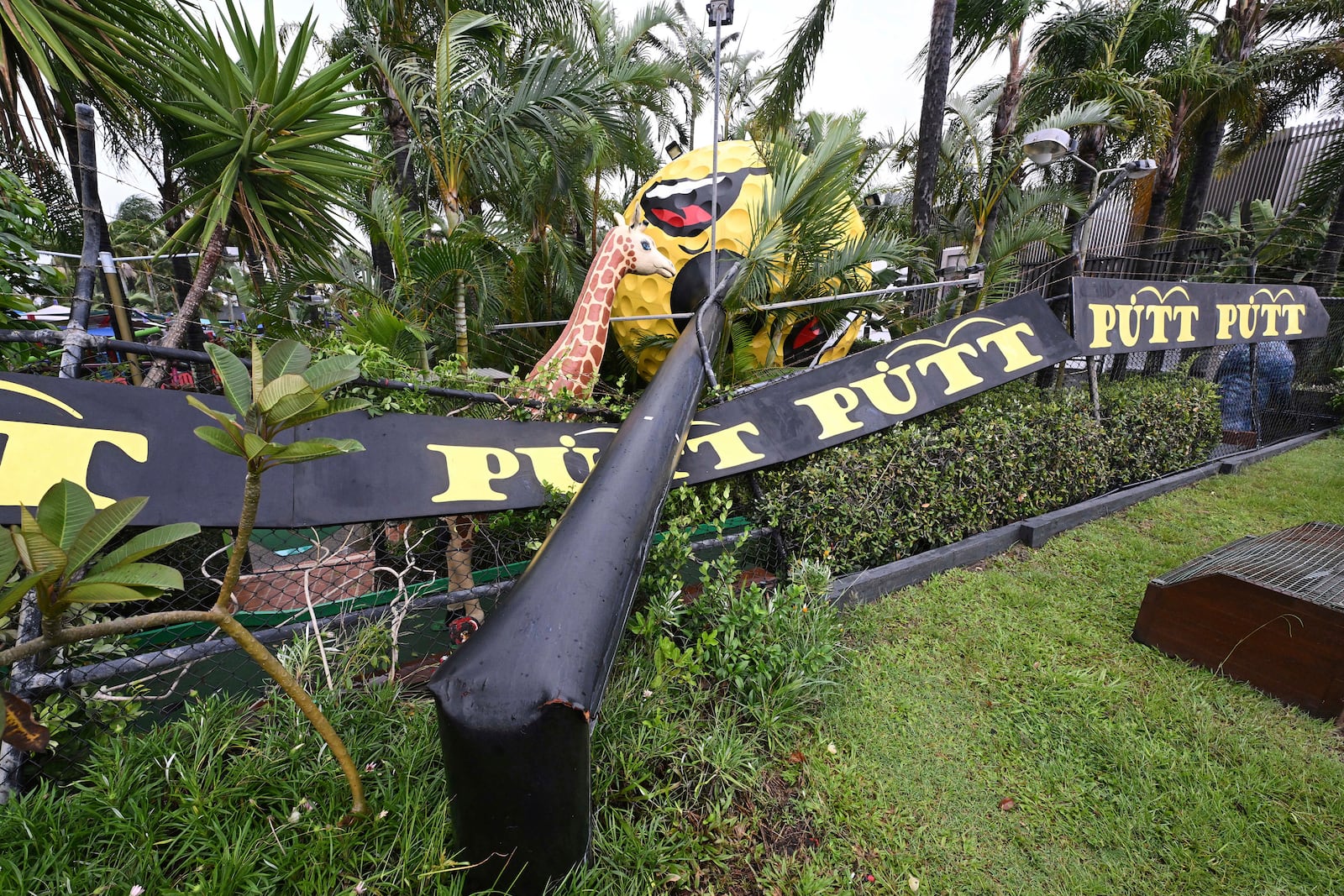 A giant golf ball sign is seen fallen outside a mini golf complex at Mermaid Beach on the Gold Coast, Australia, Saturday, March 8, 2025. (Dave Hunt/AAP Image via AP)