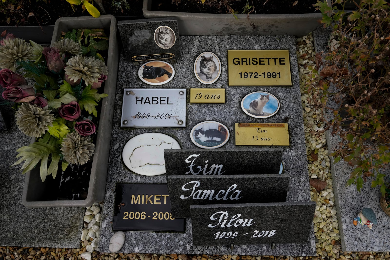 View of a grave at the pet cemetery of Asnieres-sur-Seine, west of Paris, Friday, Feb. 21, 2025. (AP Photo/Michel Euler)