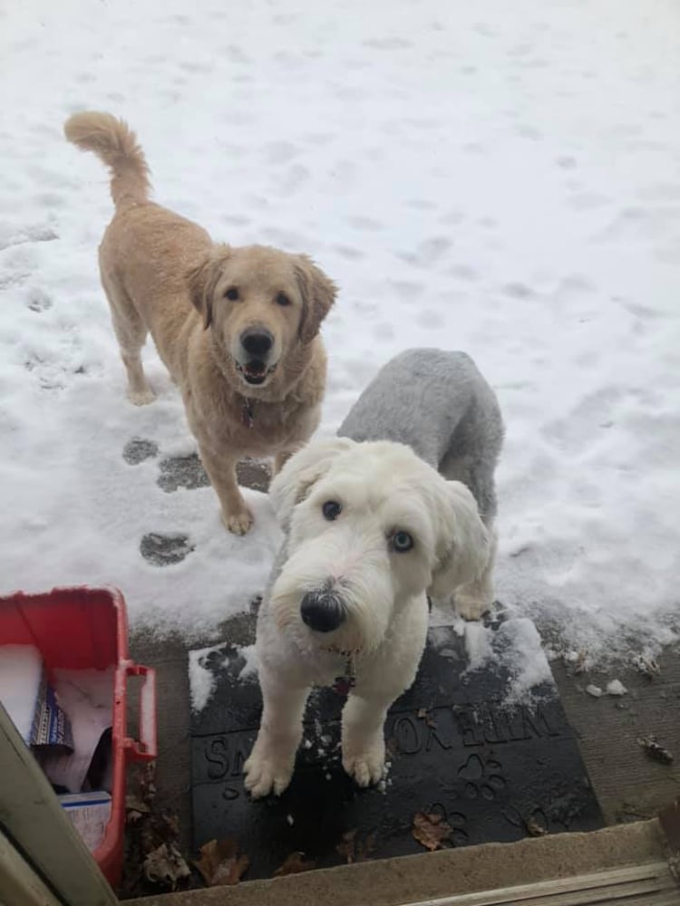 PHOTOS: Snowstorm covers region Saturday