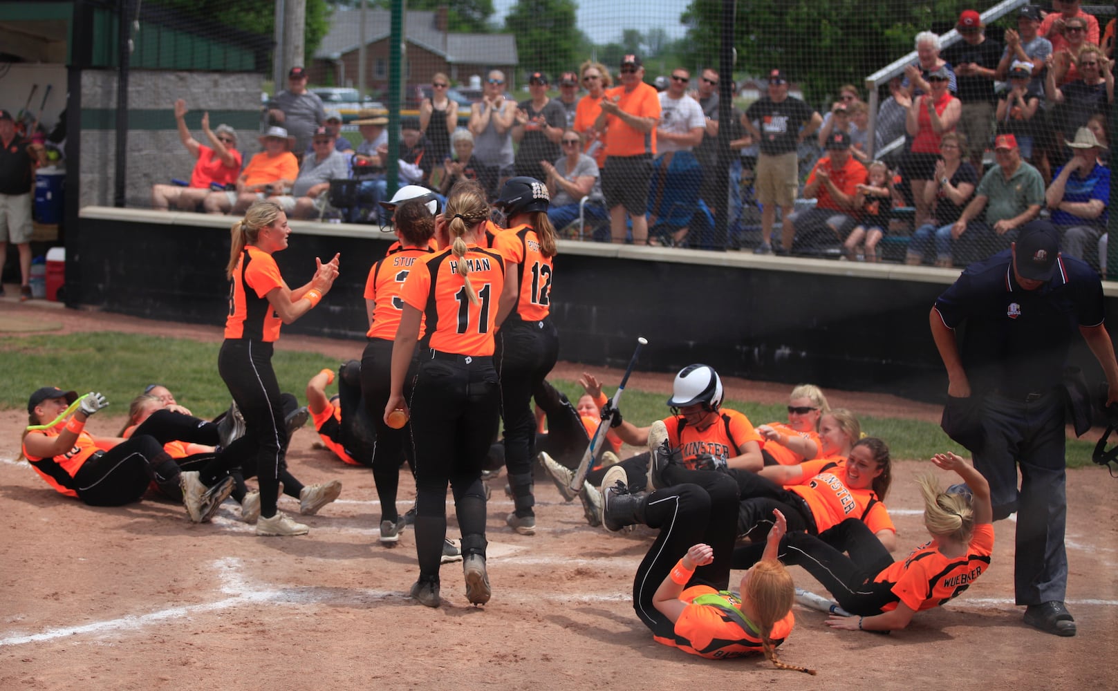 Photos: Mechanicsburg beats Minster in D-IV softball regional final