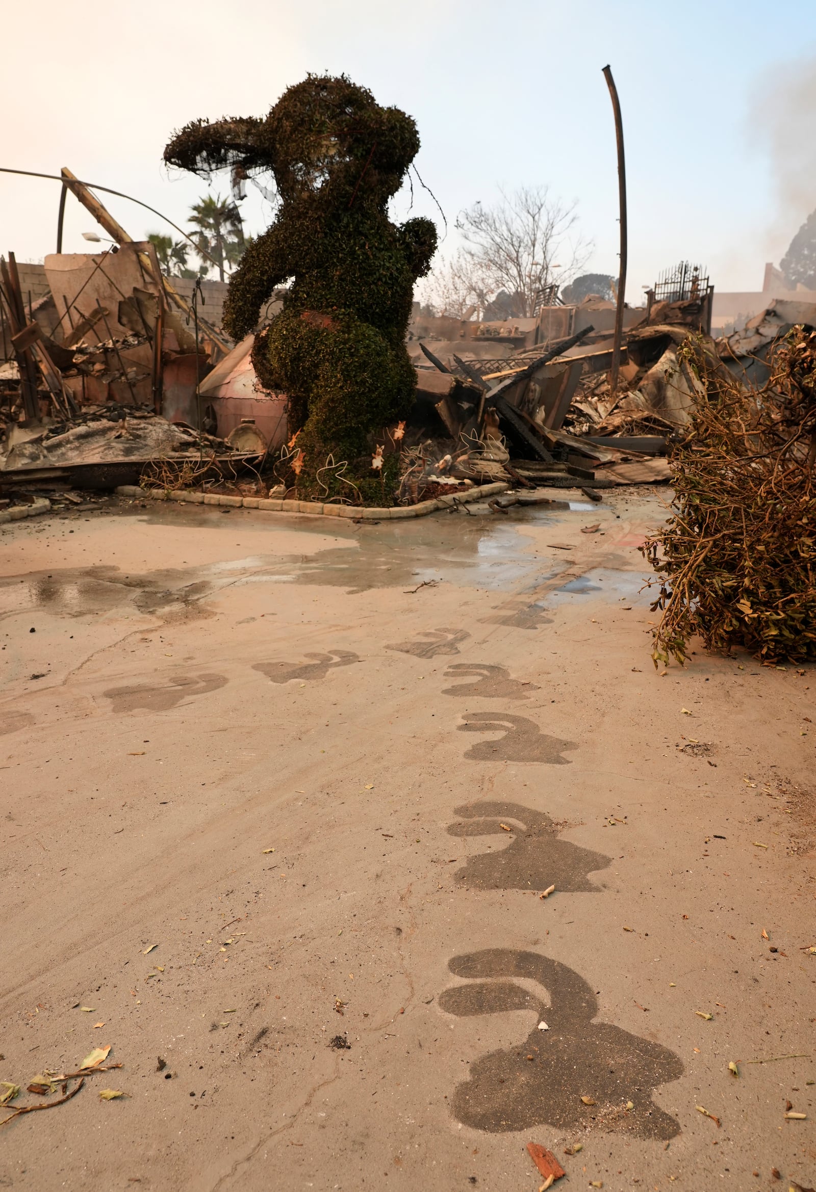 A welcome path leads to the charred remains of the Bunny Museum, Thursday, Jan. 9, 2025, in the Altadena section of Pasadena, Calif. (AP Photo/Chris Pizzello)