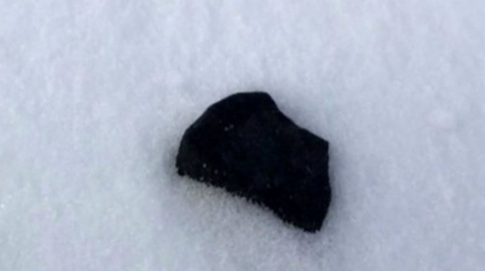 Meteorites from Michigan meteor. Photos from WDIV ClickonDetroit.com