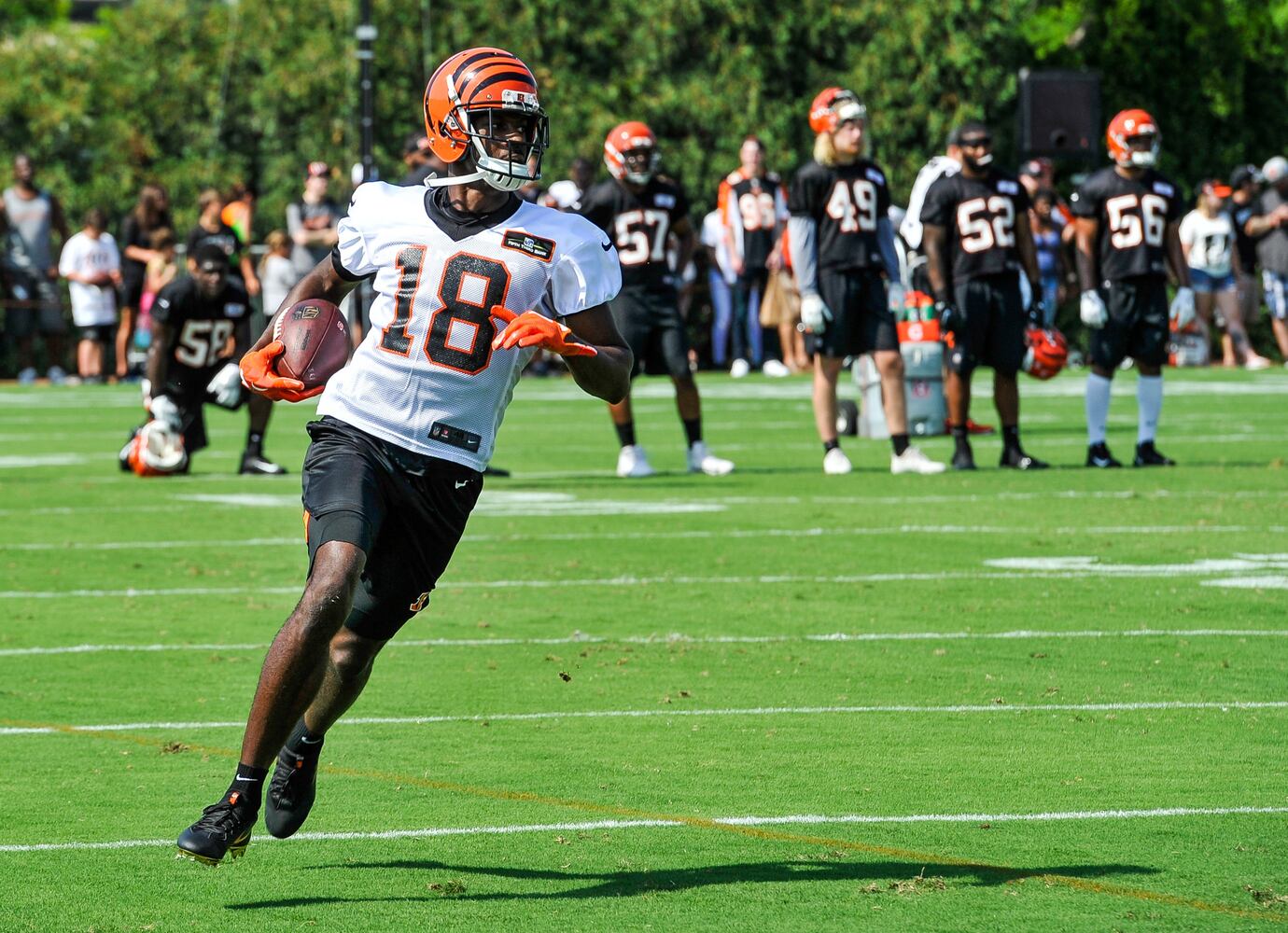 Bengals Training Camp Day 1