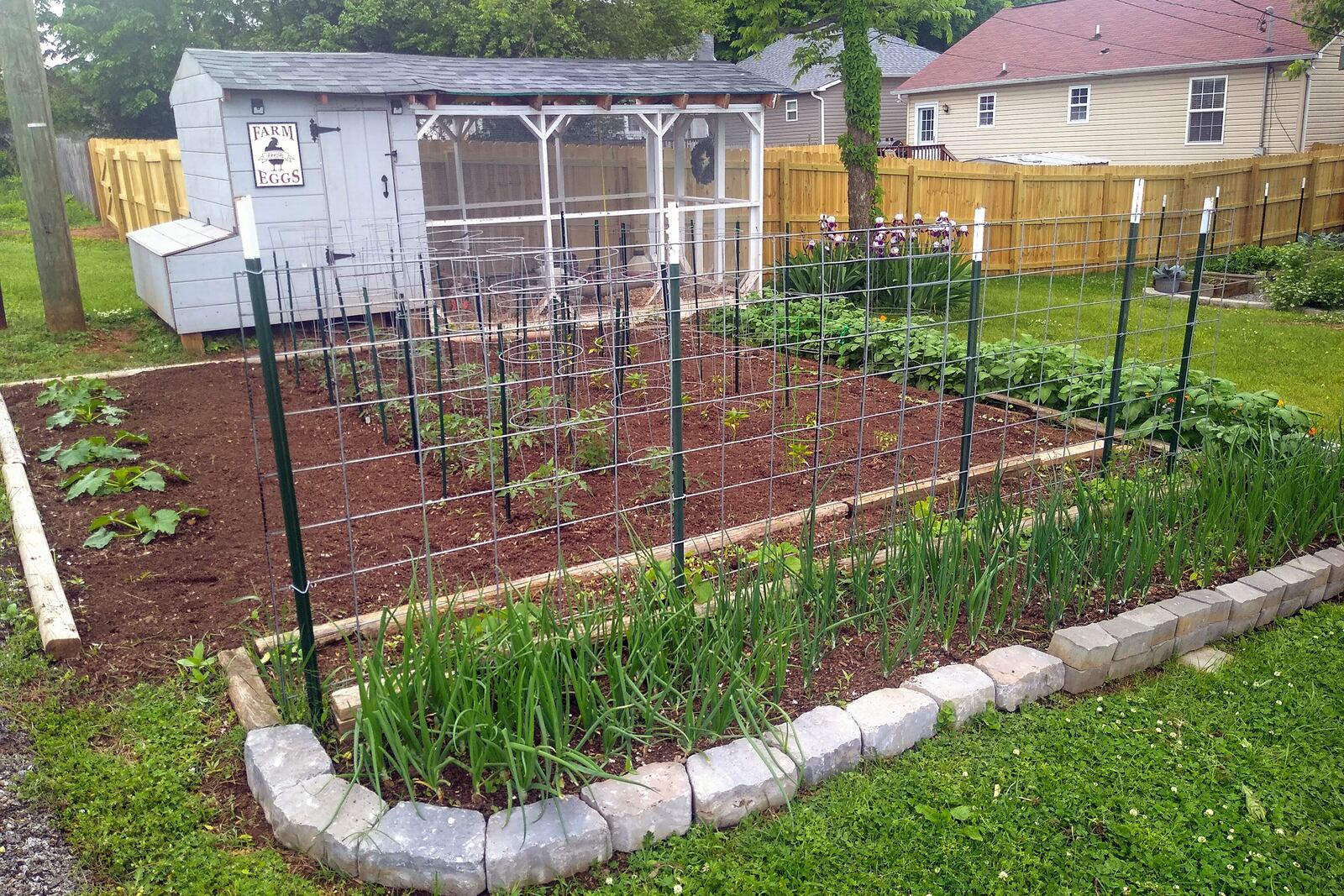 This image shows a chicken coop and garden at the home of Sarah Penny in Knoxville, Tenn., in May 2024 (Sarah Penny via AP).