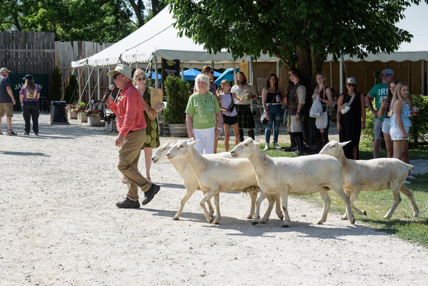 PHOTOS: 2024 Celtic Fest Ohio at Renaissance Park