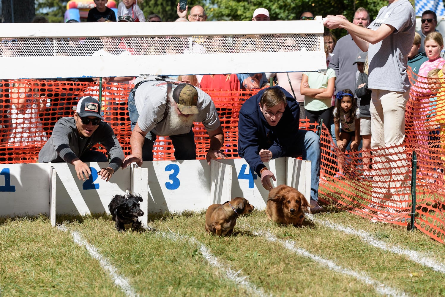 PHOTOS: 2024 Oktoberfest Springboro