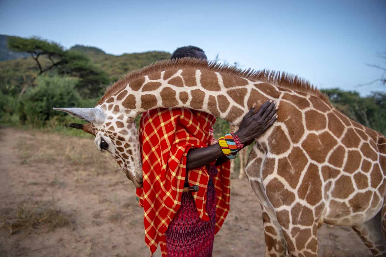Photographer Ami Vitale, whose work includes "Giraffe Hug" pictured here, will deliver a presentation titled "Wild Hope - Rethinking Our Relationship with Nature" Feb. 1, 2026 as part of Dayton Live's 2025-26 Perspective Speakers Series. Photo by Ami Vitale