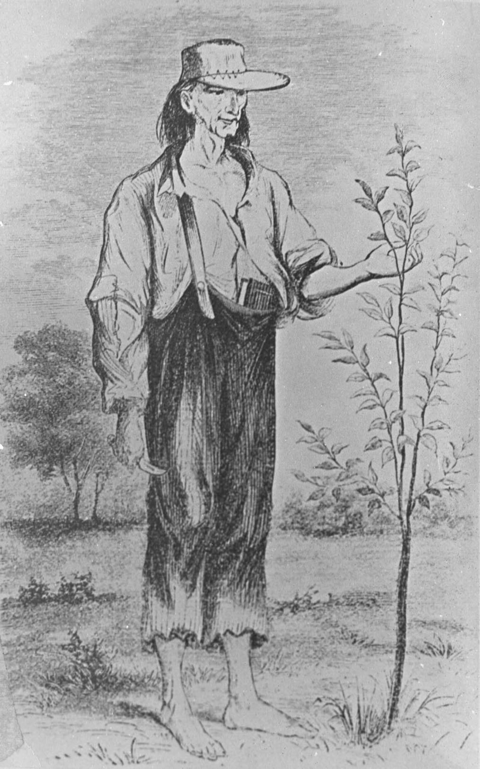 John Chapman, better known as “Johnny Appleseed,” planted seeds for apple trees.  