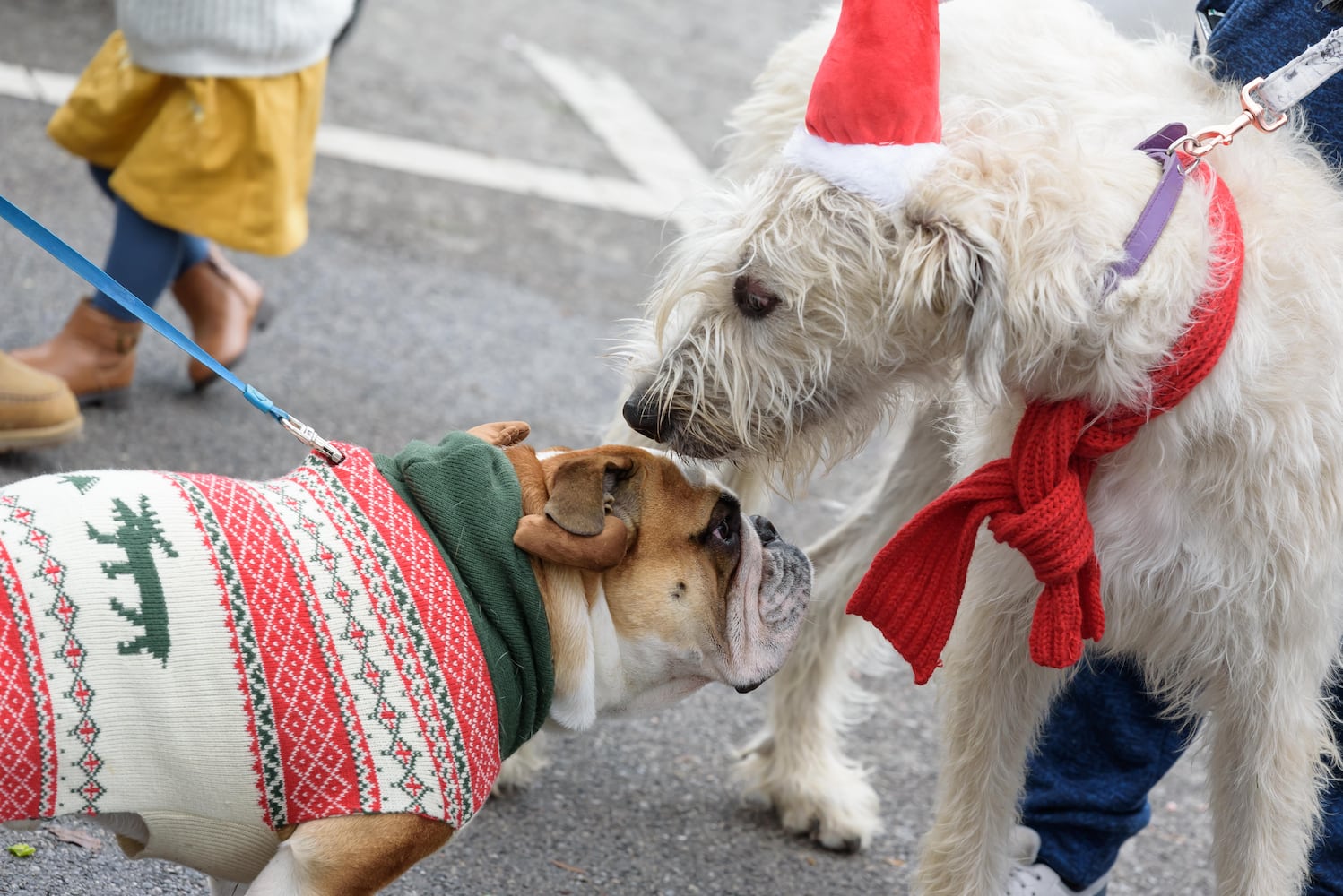 PHOTOS: 2024 Christmas in Historic Springboro Parade & Festival