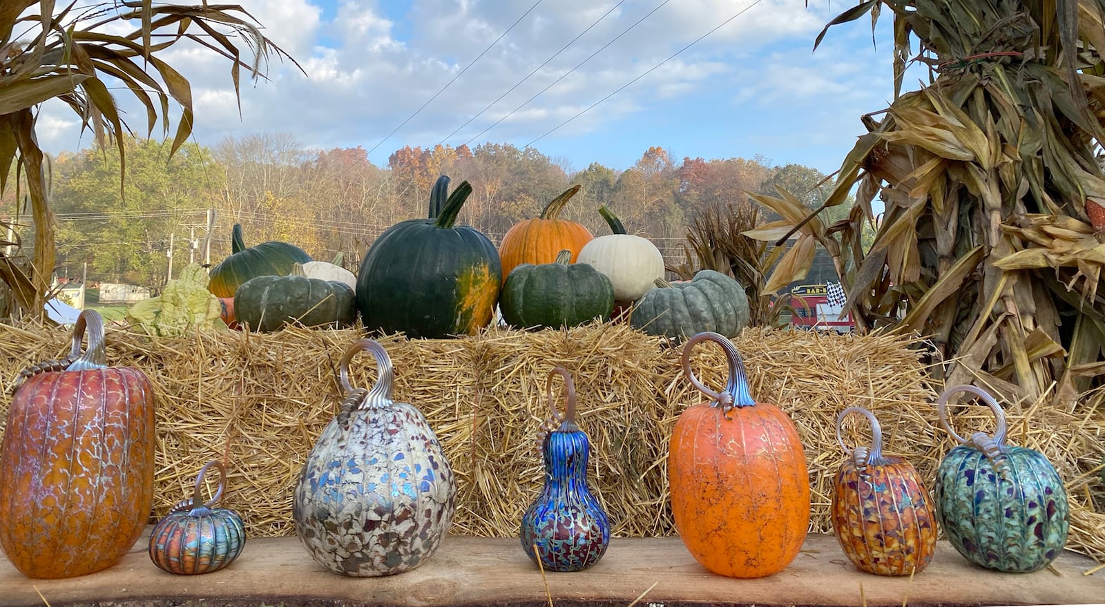  Jack Pine Studios, a Laurelville, Ohio glass studio and gallery, will host the second annual Glass Pumpkin Festival Sept. 24 – 26 . CONTRIBUTED PHOTO          