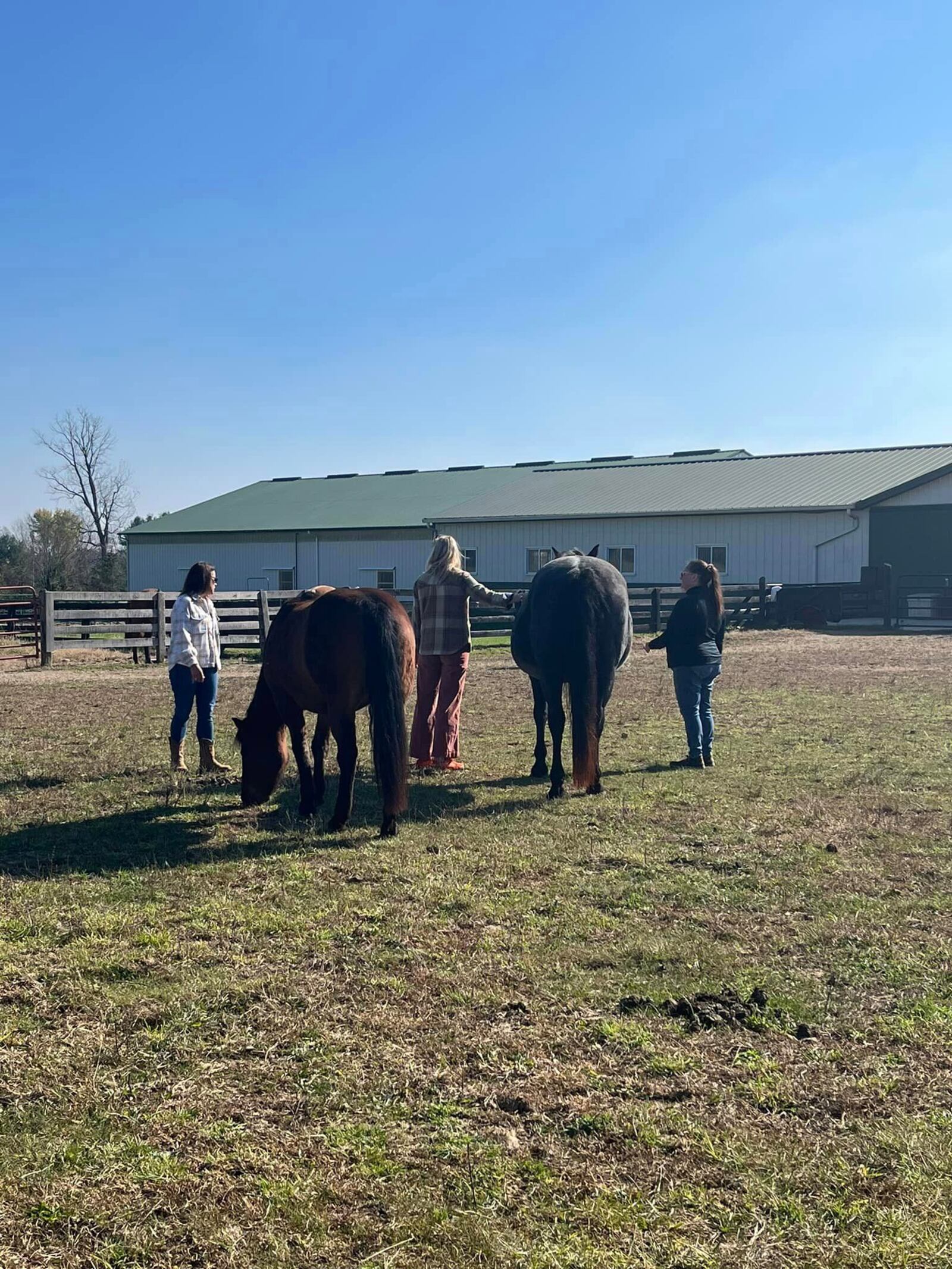 Therapeutic Riding Institute