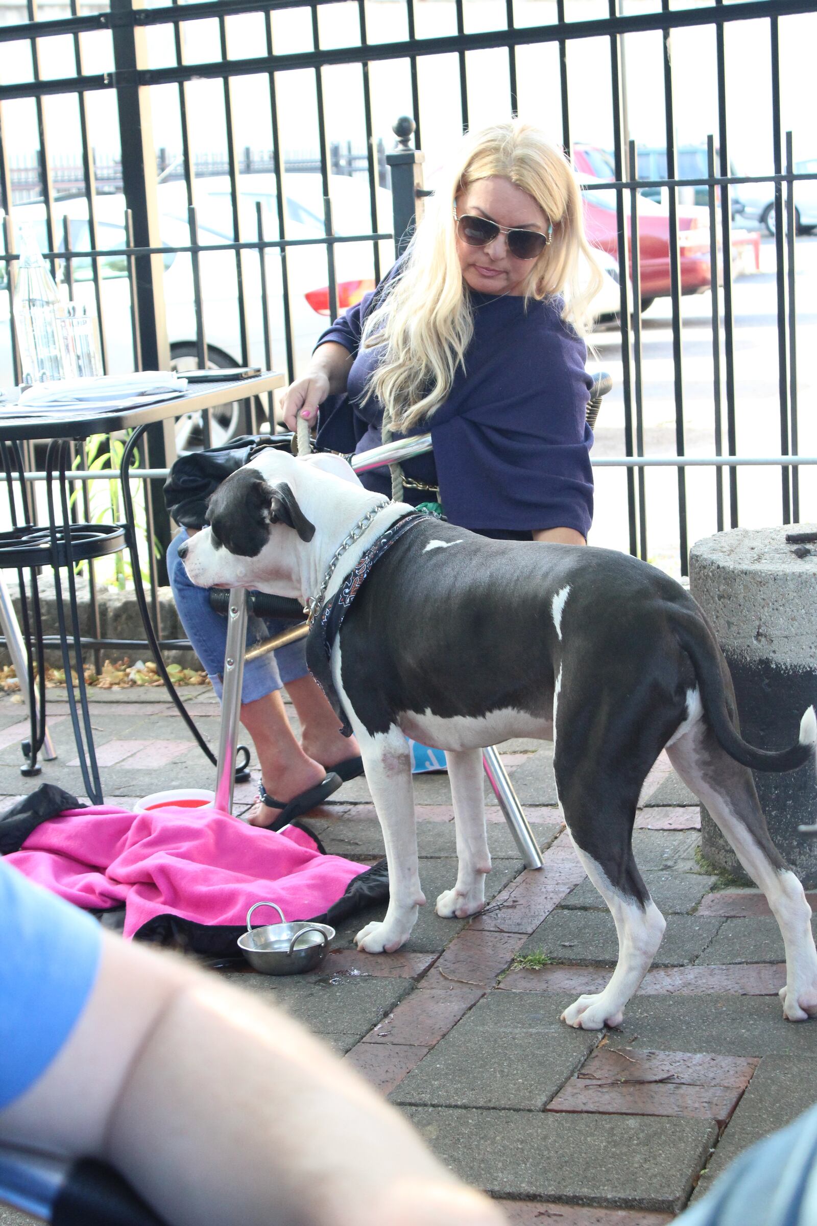 A 2017 Patio Puppies party at Lily's Bistro.